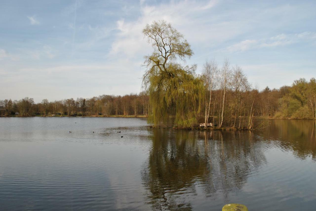 Apartmán Am Mariental 11 Hankensbuttel Exteriér fotografie