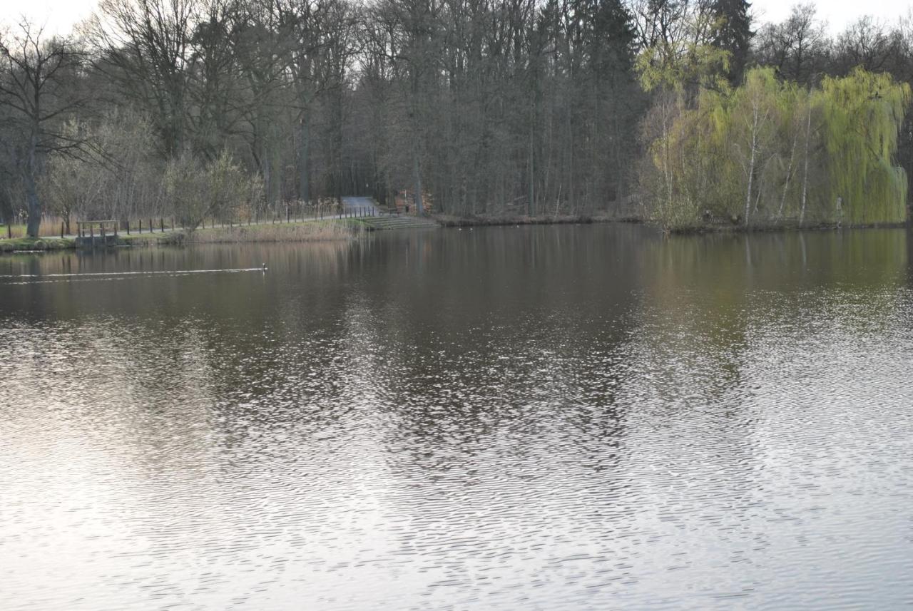 Apartmán Am Mariental 11 Hankensbuttel Exteriér fotografie
